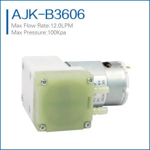 high flow micro vacuum pump
