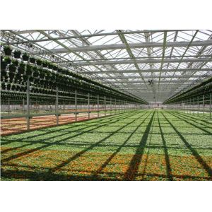Sturdy Double Pane Greenhouse With Top Ventilation Surrounding Ventilation