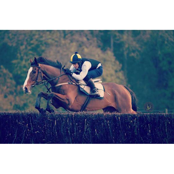 Jodhpur Breeches Function Equestrian Vest Innocuous BS EN Certified with Foam Padding