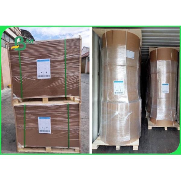 clay coated kraft back 