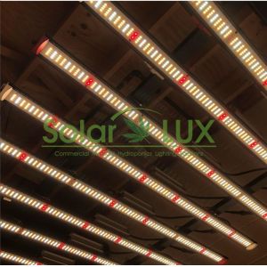 Led Plant Light Cover 2000w Full Spectrum LED Grow Light