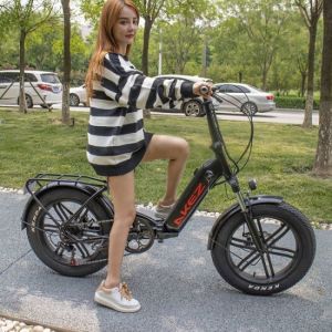 60km Aluminium Alloy 21 Speed Electric Bike Double Disc Brake
