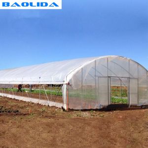 China Modern Tunnel Plastic Greenhouse For Tropical Climate Plastic Covering on sale