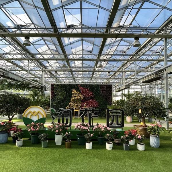 Multi Glass Greenhouse for Flowers