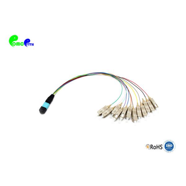 ELite MTP Trunk Cable Fanout 0.9mm MTP Male to SC PC 12F MM With 900μm OM3 50 /