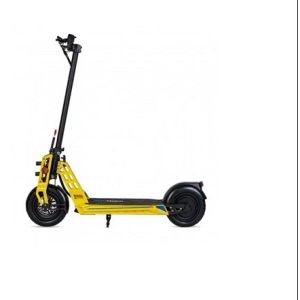 Reliable Electric Scooter with 600w Rear Drive Brushless Motor and High