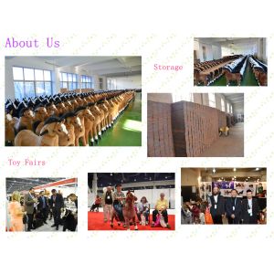 Dalian Magic Prince Toy Co., Ltd