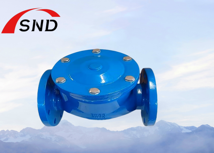 3000LB 4500LB Ductile Iron Swing Check Valve For Water Oil And Gas Pipelines