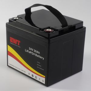 Lifepo4 Portable Battery Pack 24V 30AH With Bluetooth Can