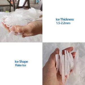 16kw Compressor Power Industrial Ice Machine 5ton 5000kg Ice Block Maker and