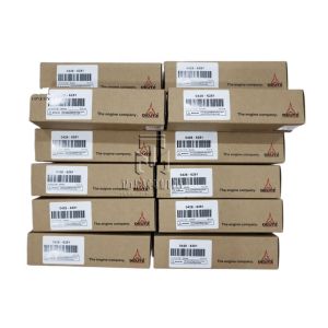 China Fuel Injector 04286251 0428 6251 4286251  for DEUTZ D2011 F2L2011 FL2011 FM2011 BFM2011 Engine on sale