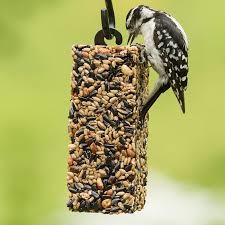 Bird Seed Bar / Cereal Bar Forming Machine For Making Bird Treats And Bird Block