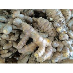 commercial stainless steel ginger juice making machine/ginger crusher machine