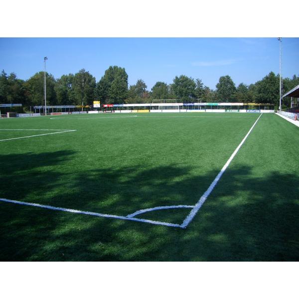 Buy Waterproof Natural Looking Artificial Grass Football Pitches Fake Grass Carpet at wholesale prices