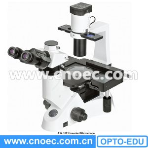 A14.1021 400x Trinocular Inverted Biological Microscope Infinity Optical System
