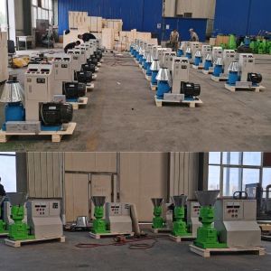 CE 10mm Small Wood Pellet Mill With Automatic Lubrication System