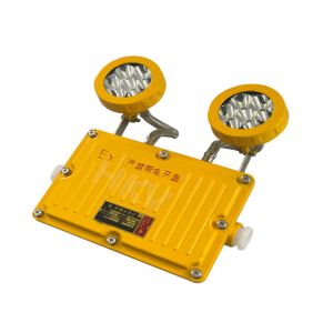 Rechargeable Explosion Proof Emergency Light With Double Emergency Light
