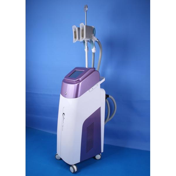 Buy Two Head Cryolipolysis Body Slimming Machine For Body Shaping at wholesale prices