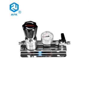 1/4 Ferrule Gas Pressure Regulator R11 Reducer Wl400 20.7mpa SS