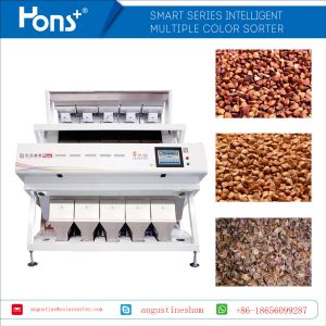 Independent R&D design buckwheat/straw Color Sorter Wheat Sorting Machine