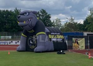 Quality Custom Team Oxford Inflatable Football Sports Helmet & Tunnel Mascot Inflatable Bulldog Tunnel for sale