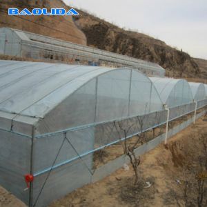 Multispan Plastic Film Greenhouse With Drip Irrigation System Plant Nursery Grow
