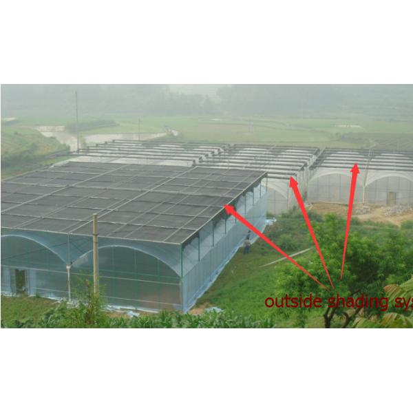 Horticulture Farm Vegetable Garden Shade Cloth For Anti Sunshine 60% Shading Rate