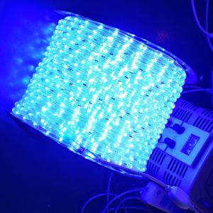 led rope light for christmas decorations