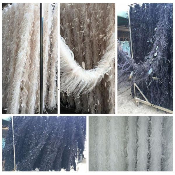 Dyed Marabou And Coque Feather Boa Highly Durable 2 Yards Length