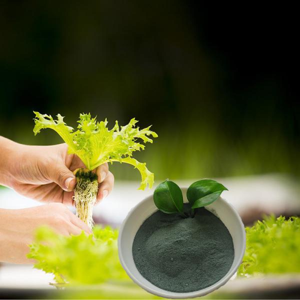 Soy Protein Hydrolysate Amino Acid Chelated Micronutrients Copper Organic