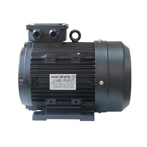 Clockwise Rotation 24mm 220-380V IE2 Hollow Shaft Motor