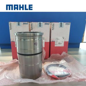 037WN56 VOLVO Cylinder Liner