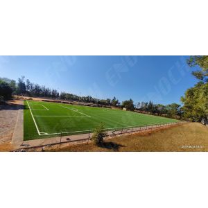 Disease Resistant Football Pitch With Effective Drainage System