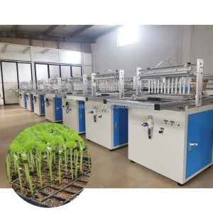 Hydroponic Sponge Media Microgreen Sower Machines with Top-Performing Chili Seed