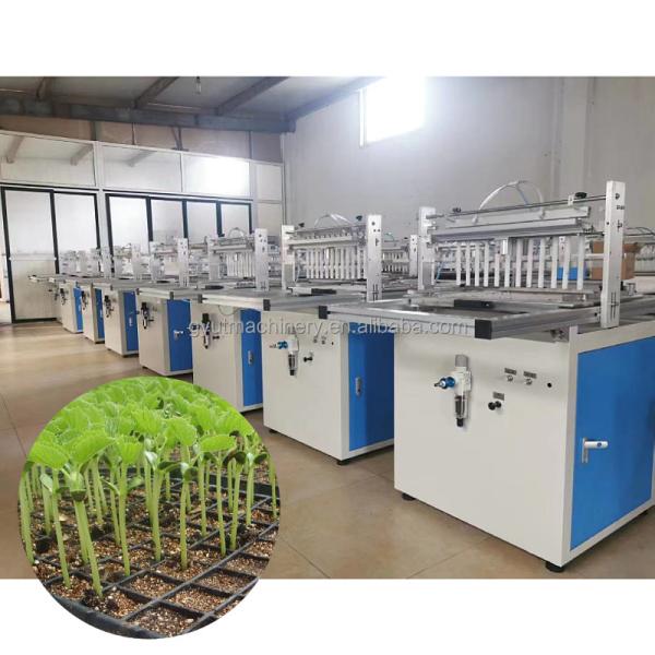 Vegetable Seedling Transplanting Machine with Pneumatic Sowing and 304 Stainless