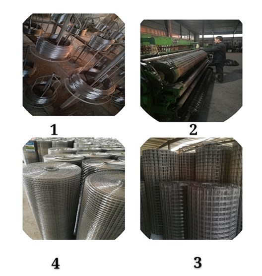 Hot Dip Galvanizing Welded Wire Mesh BWG 20 For Concrete PVC Coated