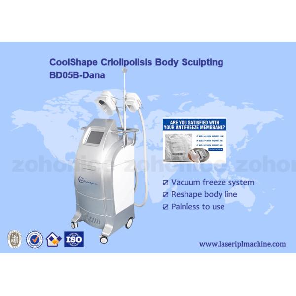 Buy Non - invasive Criolipolisis Slimming Machine cryotherapy fat removing machine at wholesale prices