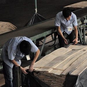 Fleeced Back Natural Mahogany Wood Veneer 0.5mm Special Crotch For Hotel