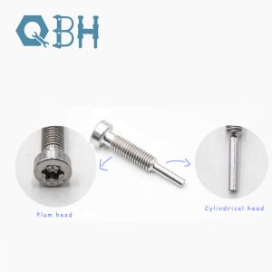 Qbh 304 Solar Plum Bolt With Cylindrical Head Plum Blossom