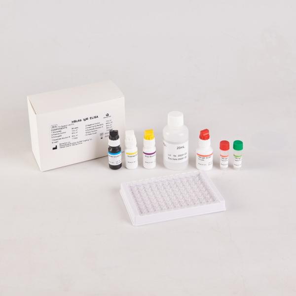 Buy RUO HBcAb Elisa kit at wholesale prices