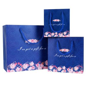 China Pantone Printing Coloured Paper Gift Bags With Ribbon Handles on sale