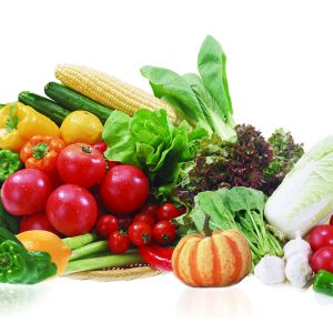 Electric Fruit Vegetable Processing Machine Kitchen OEM ODM 1.75L