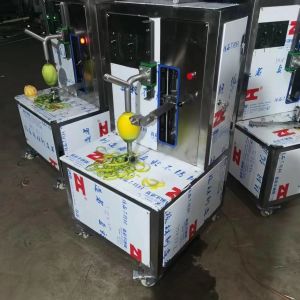 mango juice making machine / Mango NFC line