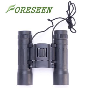 Aluminium Alloy 10x25 DCF Auto Focus Binoculars Rain Proof Outdoor Portable For