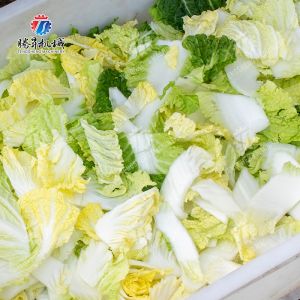 Vegetables Leaves Vegetables Onions Leafy vegetables Cabbage varieties Herbs