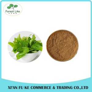 Free Sample 100% Natural Sweet Basil Extract Powder