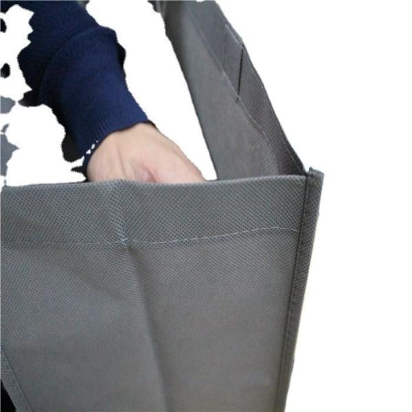 Fast Delivery PP Non Woven Ecofriendly Shopping Bag for Advertising