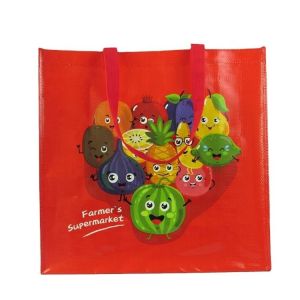 Eco Reusable Large Shopping PP Woven Hand Bag