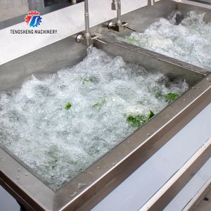 1.1KW Commercial eddy current bubble washing machine ozone multifunctional