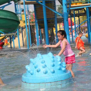 Spray Aqua Park Equipment Hedgehog Shaped Water Playground With Raining